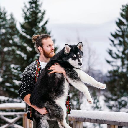 matsahirvas-travel-with-pets